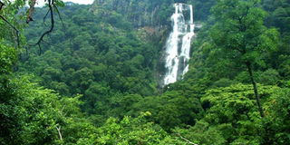 New Content Item (1)