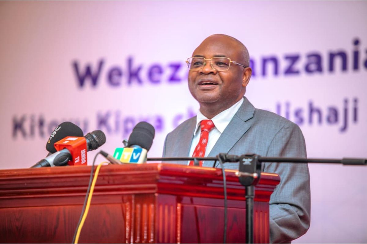Tanzania now puts youth at centre of new investment drive