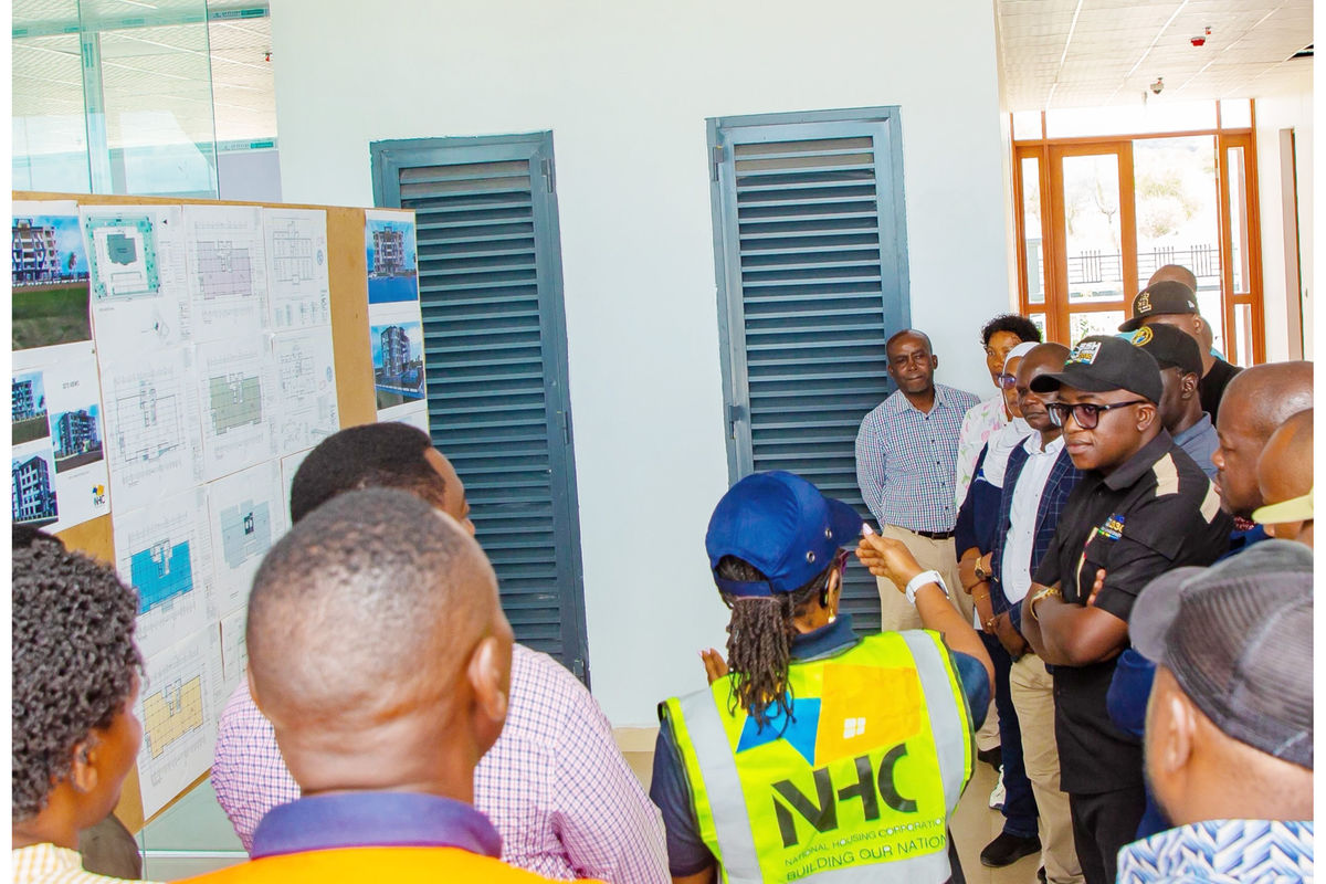 Tanzania unveils new strategy to restore Tanzanite’s global status