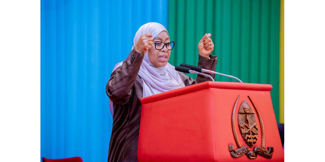 Samia: October 29 unrest was part of plot to overthrow the government ...