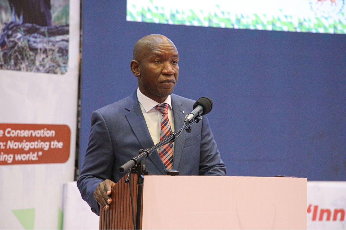 Tanzania turns to modern tech to combat poaching