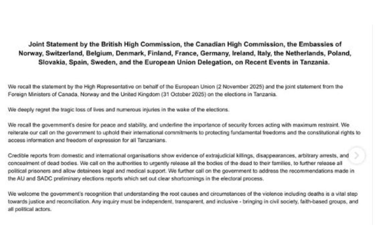 Global coalition condemns rights abuses in Tanzania, call for independent investigation