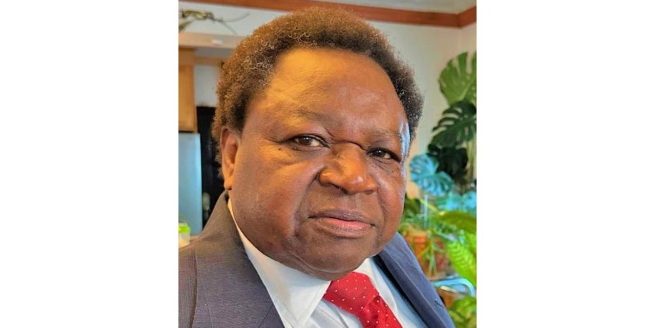 Tanzania at the crossroads: Temba on sovereignty, partnerships and ...