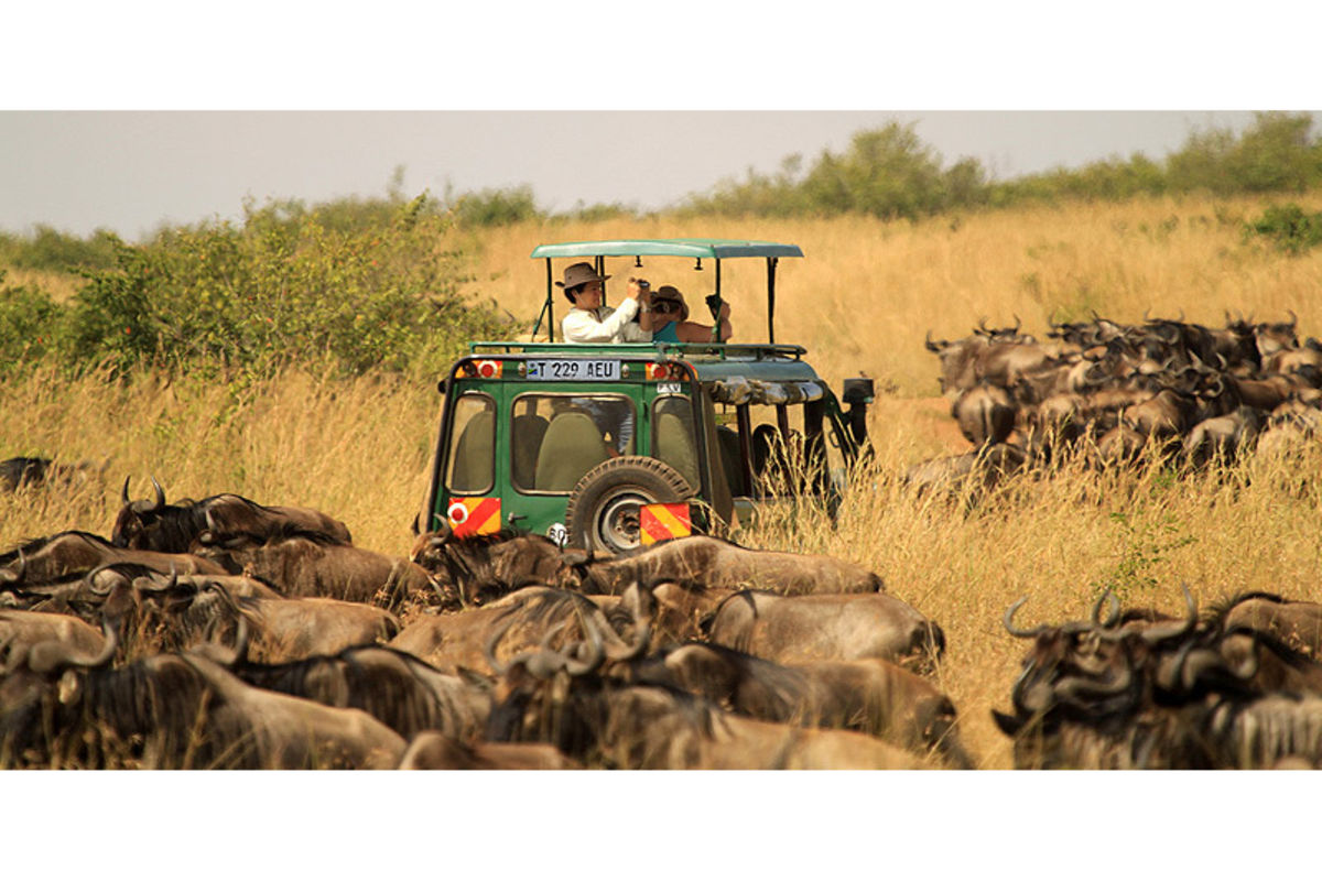 Gold and tourism boost Tanzania’s export surge