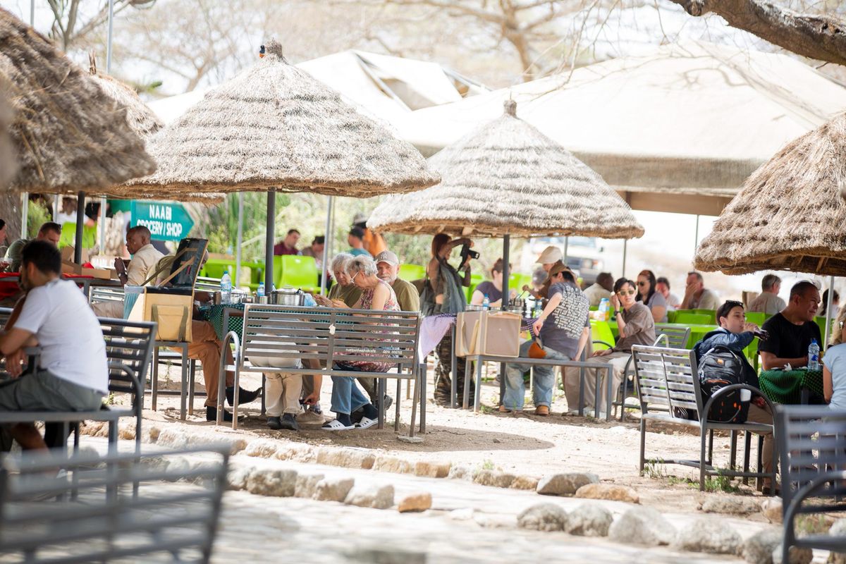 Serengeti reports increased tourism revenue