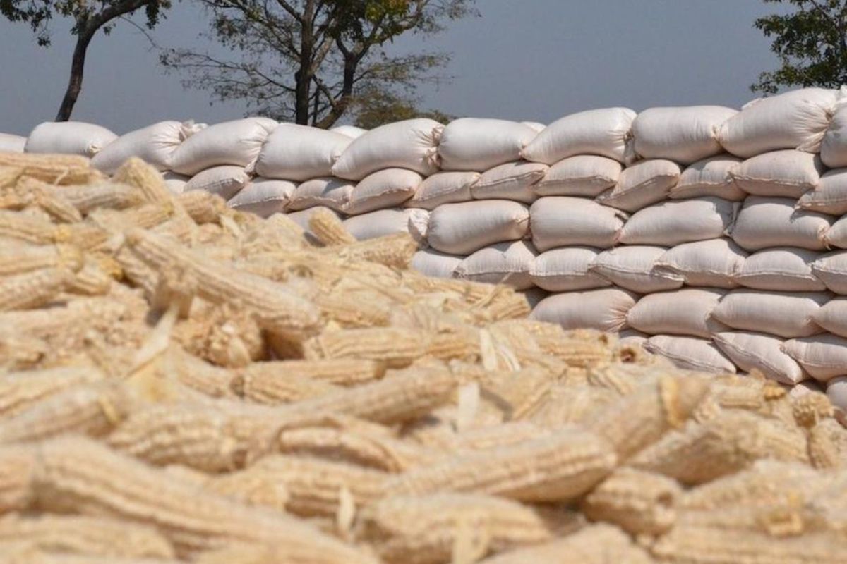 Tanzania regional trade surplus widens by 56 percent