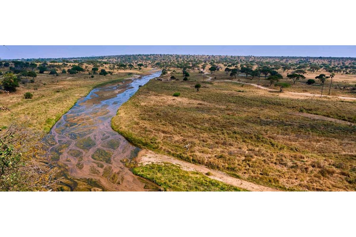 Tanzania secures Sh24bn AfDB grant to boost climate resilience