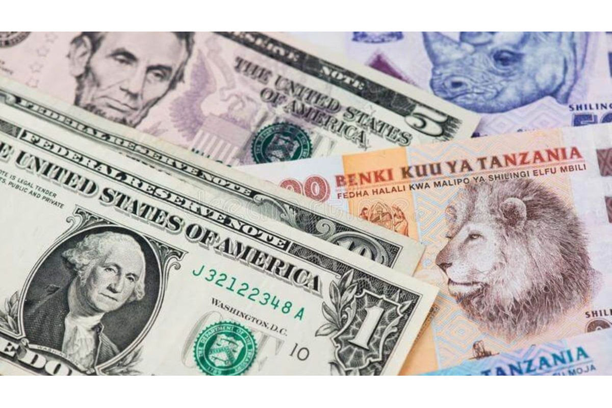 
A combination of central bank interventions and a surge in export earnings has helped stabilise the Tanzanian shilling, enabling the local currency to withstand volatility that peaked mid-year