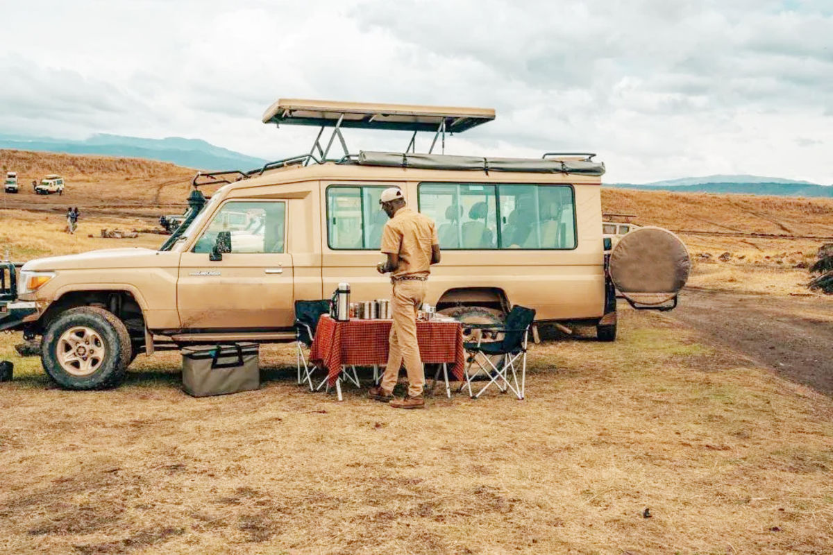 Tour operators see growth after election chaos