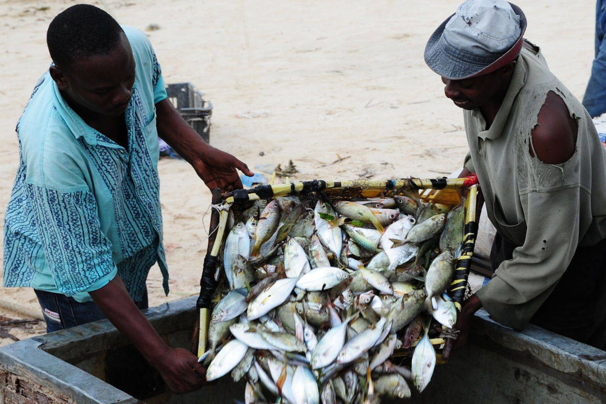 Fisheries industry eyes export record after strong results