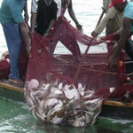 New Content Item (1)