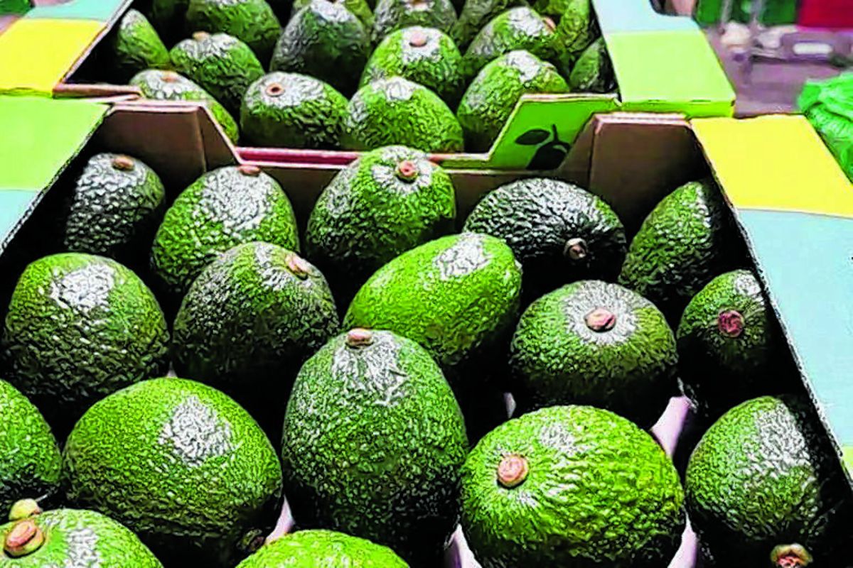 Tanzania’s exports rise 12.7pc on strong commodity prices and services growth