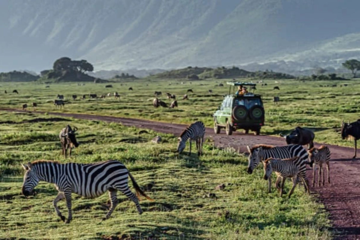 How back-to-nature experiences are fuelling Africa’s tourism