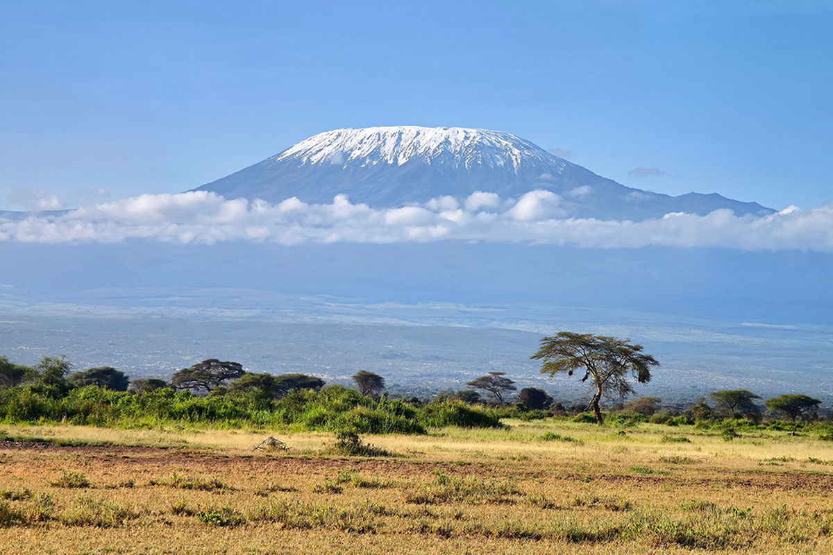 Tanzanian youth to pitch Kilimanjaro to the world