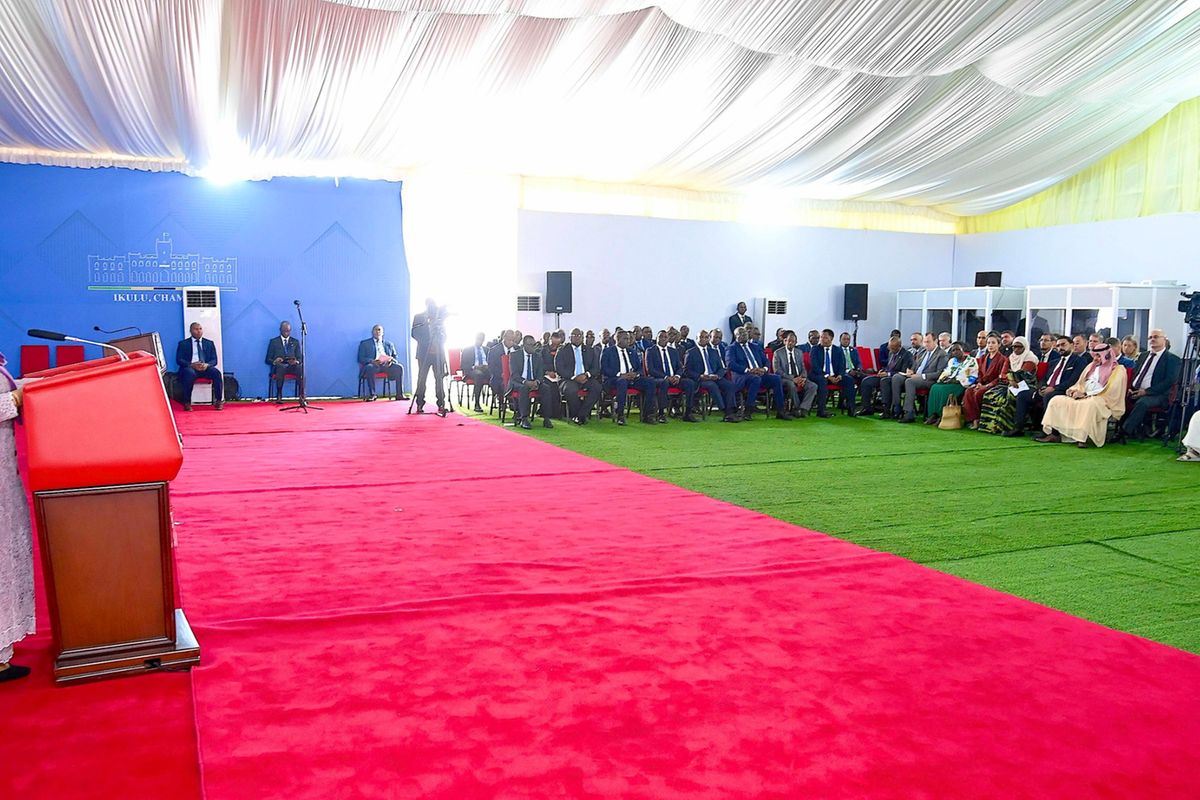 Samia breaks silence on internet shutdown, assures diplomats of safety