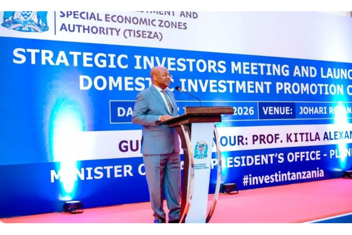 Tanzania bets on local capital to power DIRA 2050