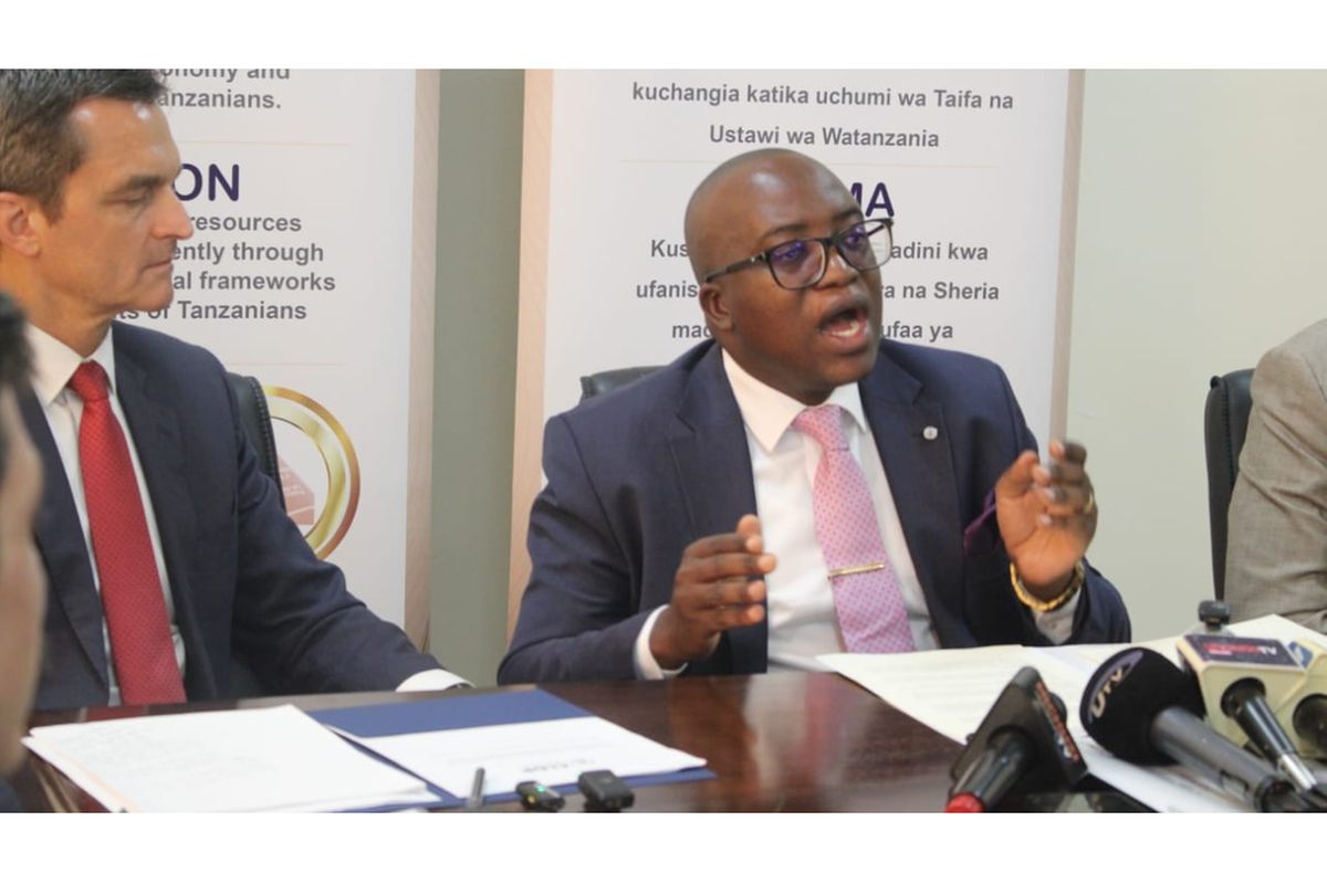 Tanzania, US in major rare minerals research programme