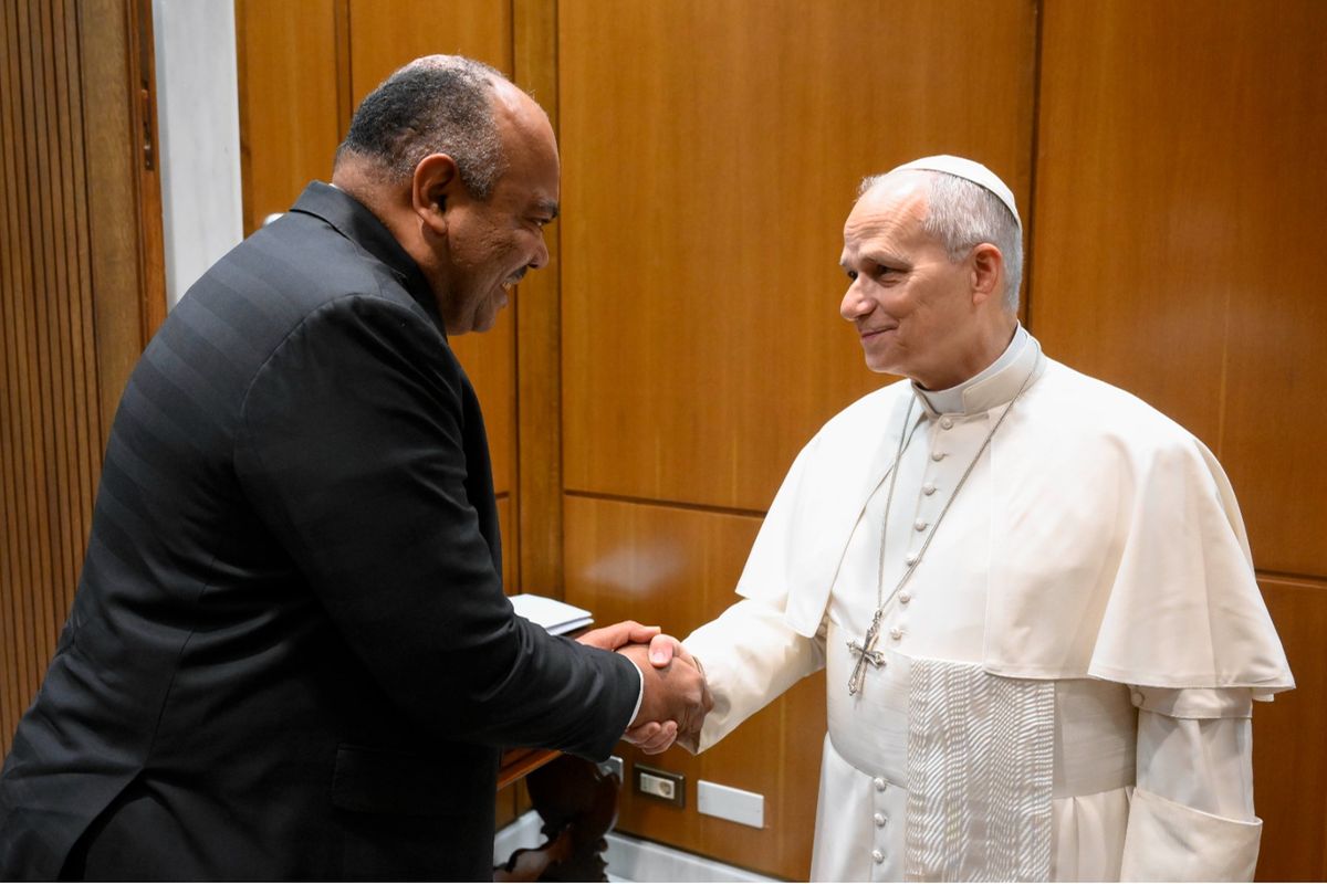 Pope Leo meets Tanzania’s Foreign Minister amid post-election violence probe