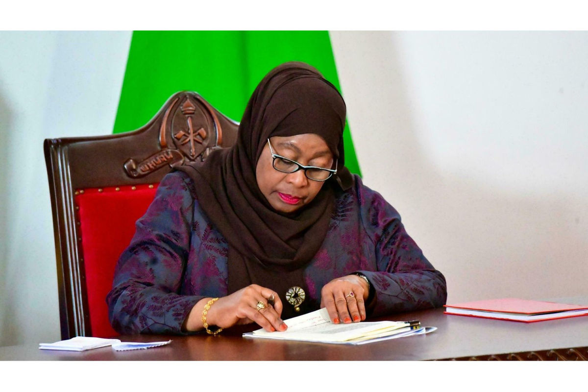 President Samia appoints new BoT deputy governor, TMA boss