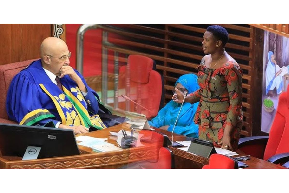 Tanzania scraps experience barrier, pledges competence-based hiring for youth