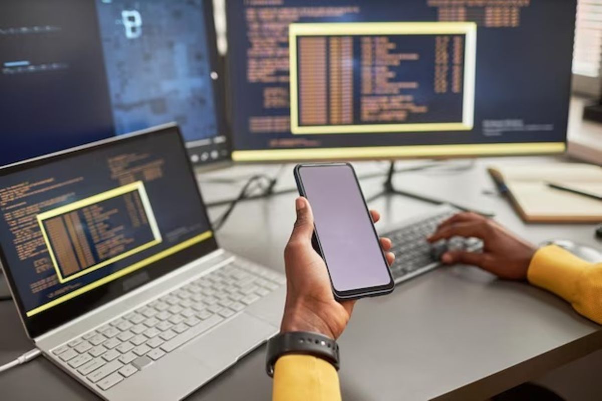 What Tanzania’s ICT startup labelling framework means