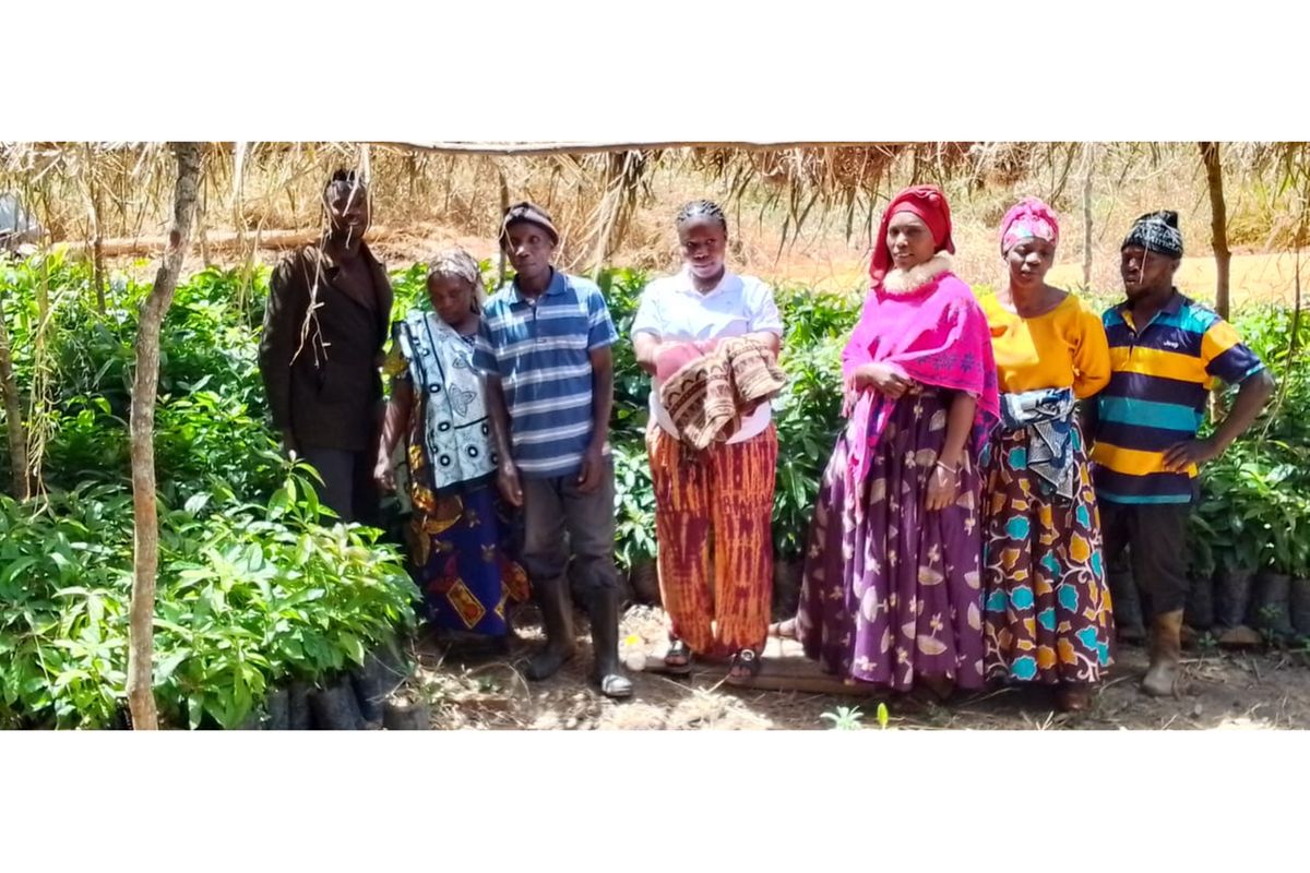 Community climate project transforms livelihoods along Lukosi River in Tanzania