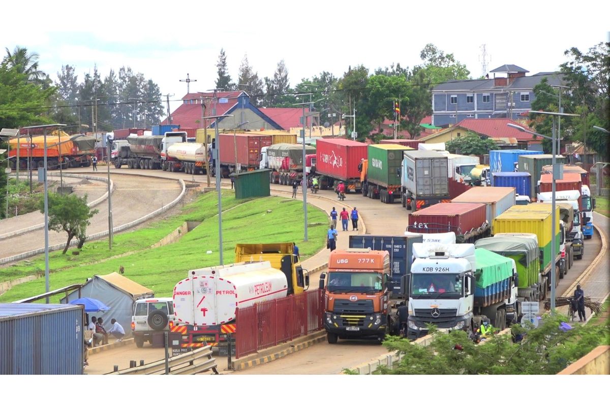 Roadmap: How Tanzania can sustain 2025 economic gains