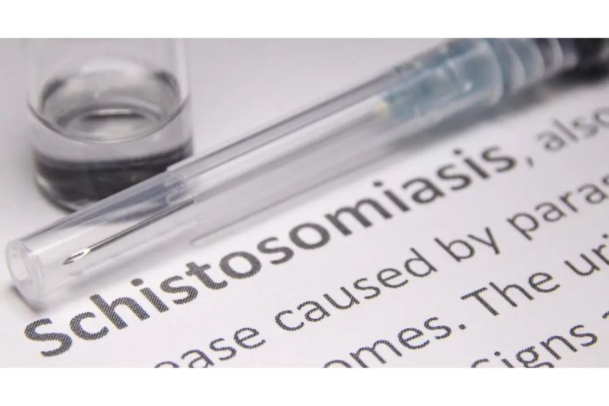 Tanzania launches child-friendly schistosomiasis treatment in landmark Lake Zone pilot