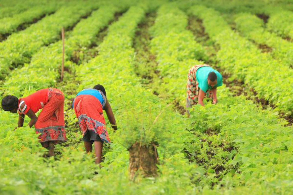 Building investment confidence through ecological stability