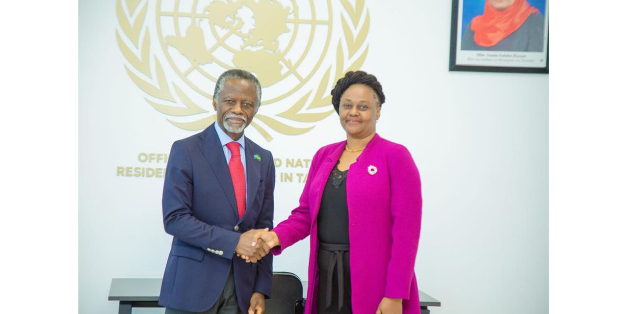 Hope, scepticism as UN rep consult with political parties | The Citizen