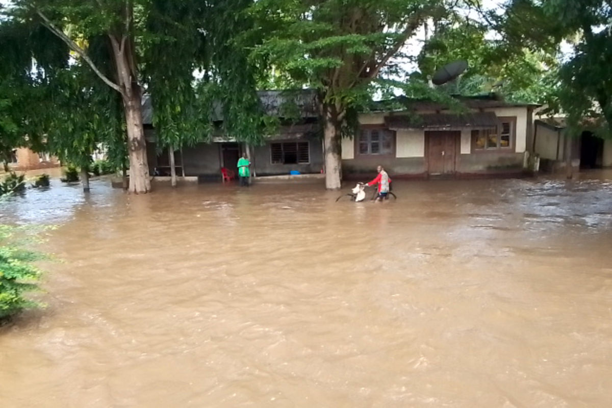Five killed as heavy rains wreak havoc in multiple regions | The Citizen