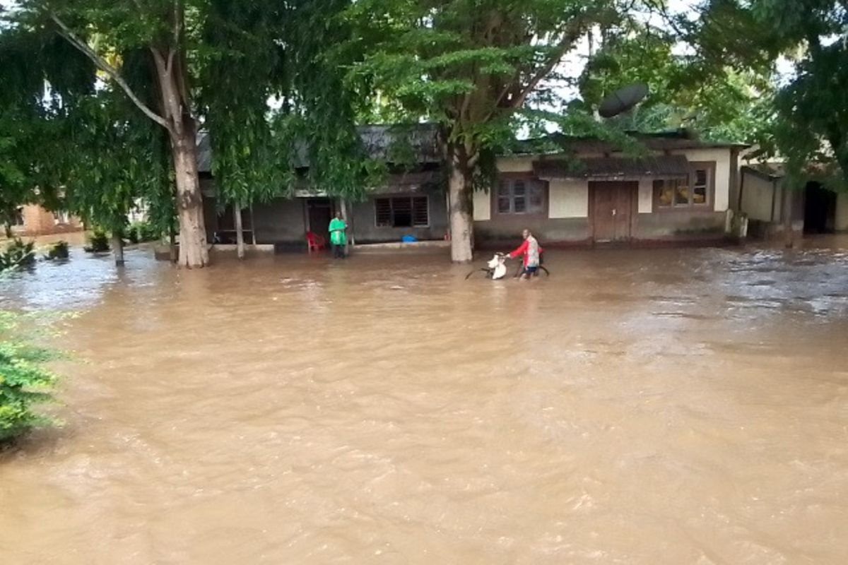 Climate change, urbanisation blamed for rising flood risks | The Citizen