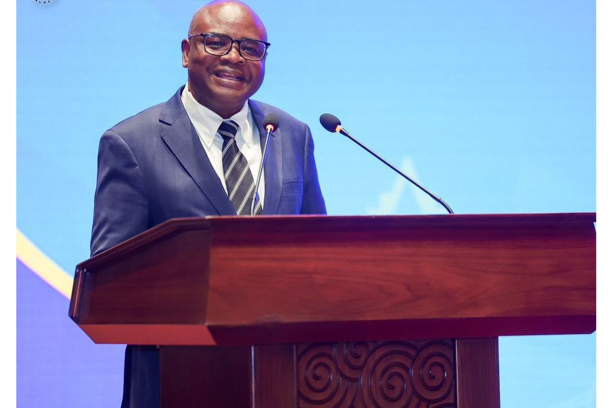 Tanzania seeks Chinese investment to transform textile industry and drive industrial boom