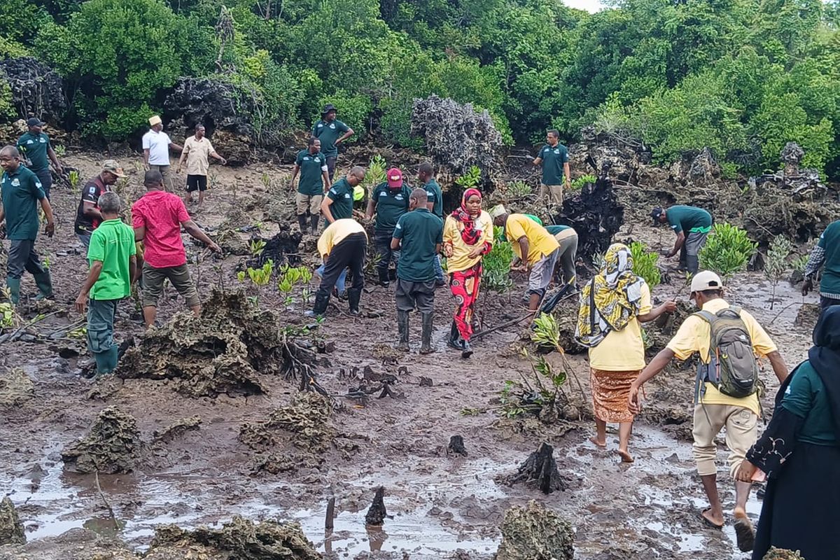 Technology to track illegal loggers rolled out in Zanzibar