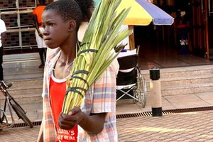 A boy sells Palm tree branches in Kampala. PHOTO IBRAHIM KAVUMA