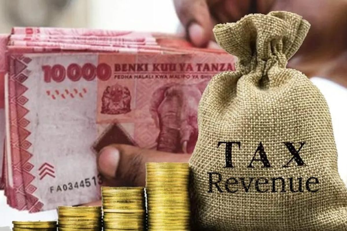 Sh9.31 trillion in tax income reflects Tanzania’s resilience, say experts