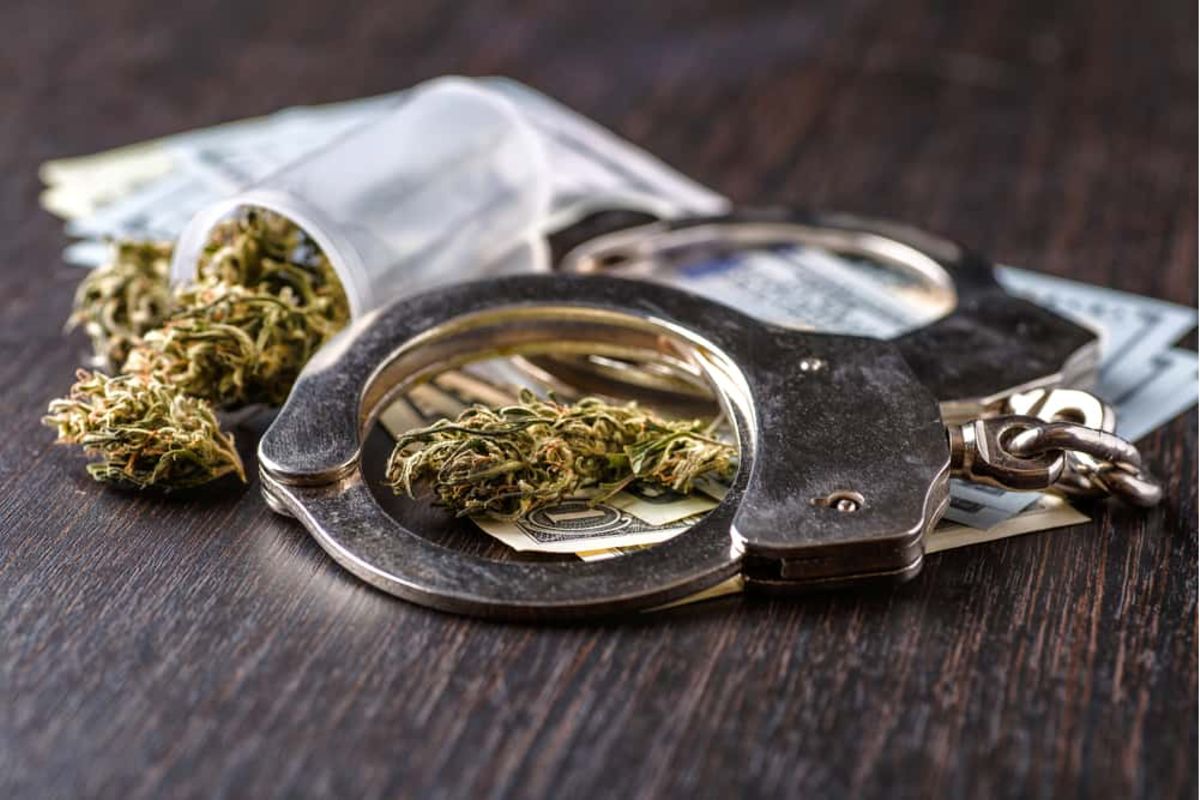 Procedural flaws free man accused of transporting 109kg of cannabis