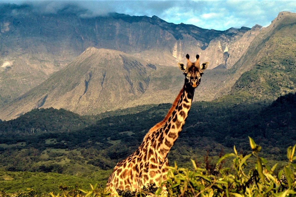 Tanzania emerges as global geological landmark with vast volcanic debris fields