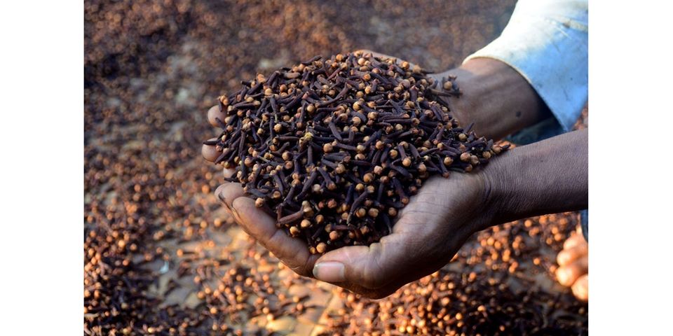 BoT: Zanzibar's exports surge on strong services | The Citizen