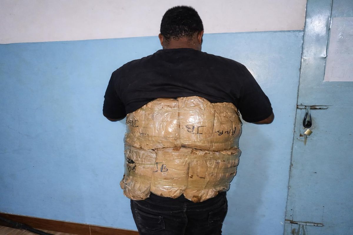 Tanzania anti-narcotics authorities seize nearly two tonnes of illegal drugs