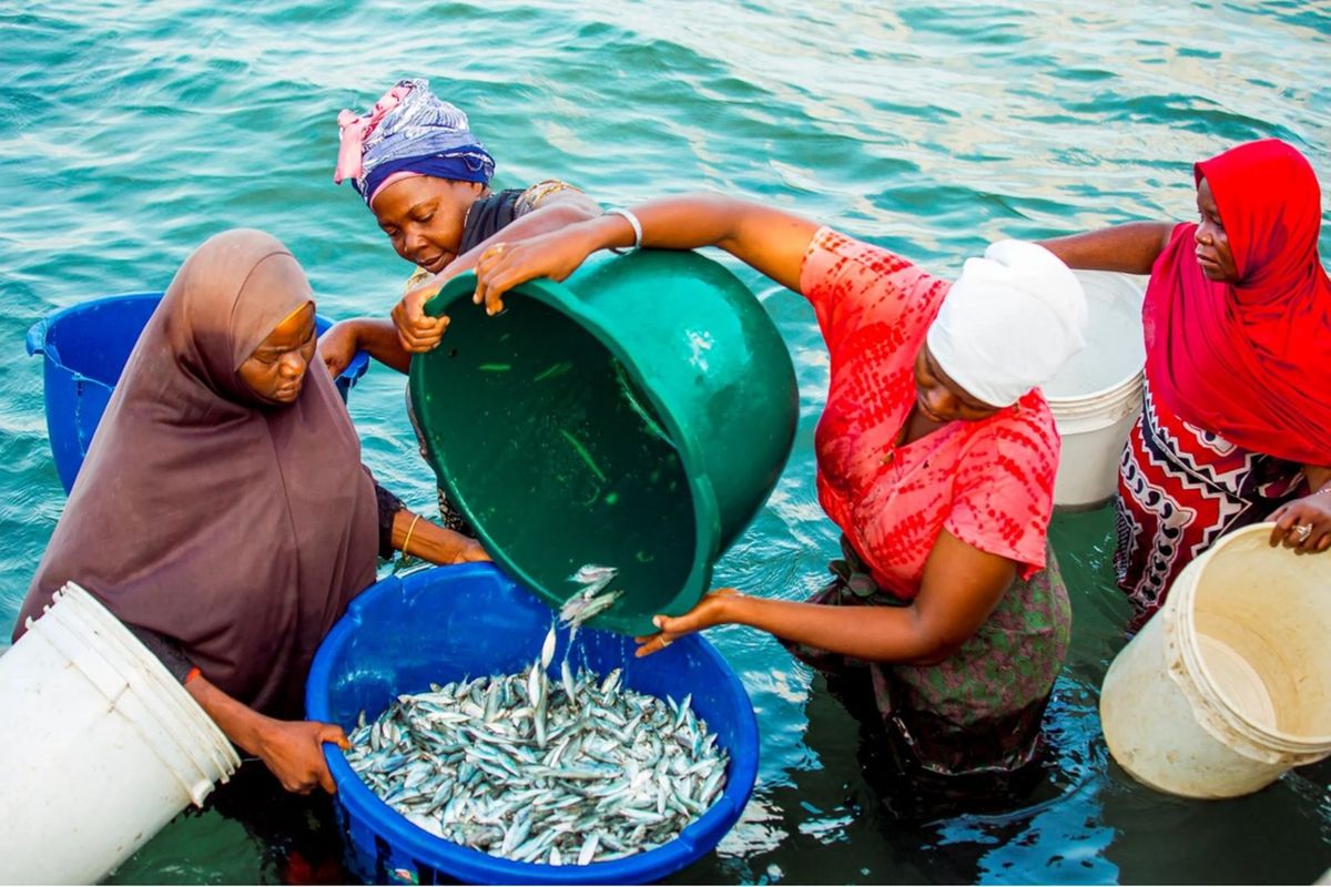 Women entrepreneurs spotlighted in push to grow Africa’s blue economy