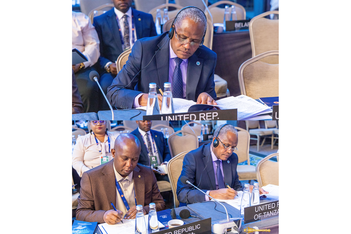 Tanzania taps global lessons to strengthen Parliament at IPU meeting