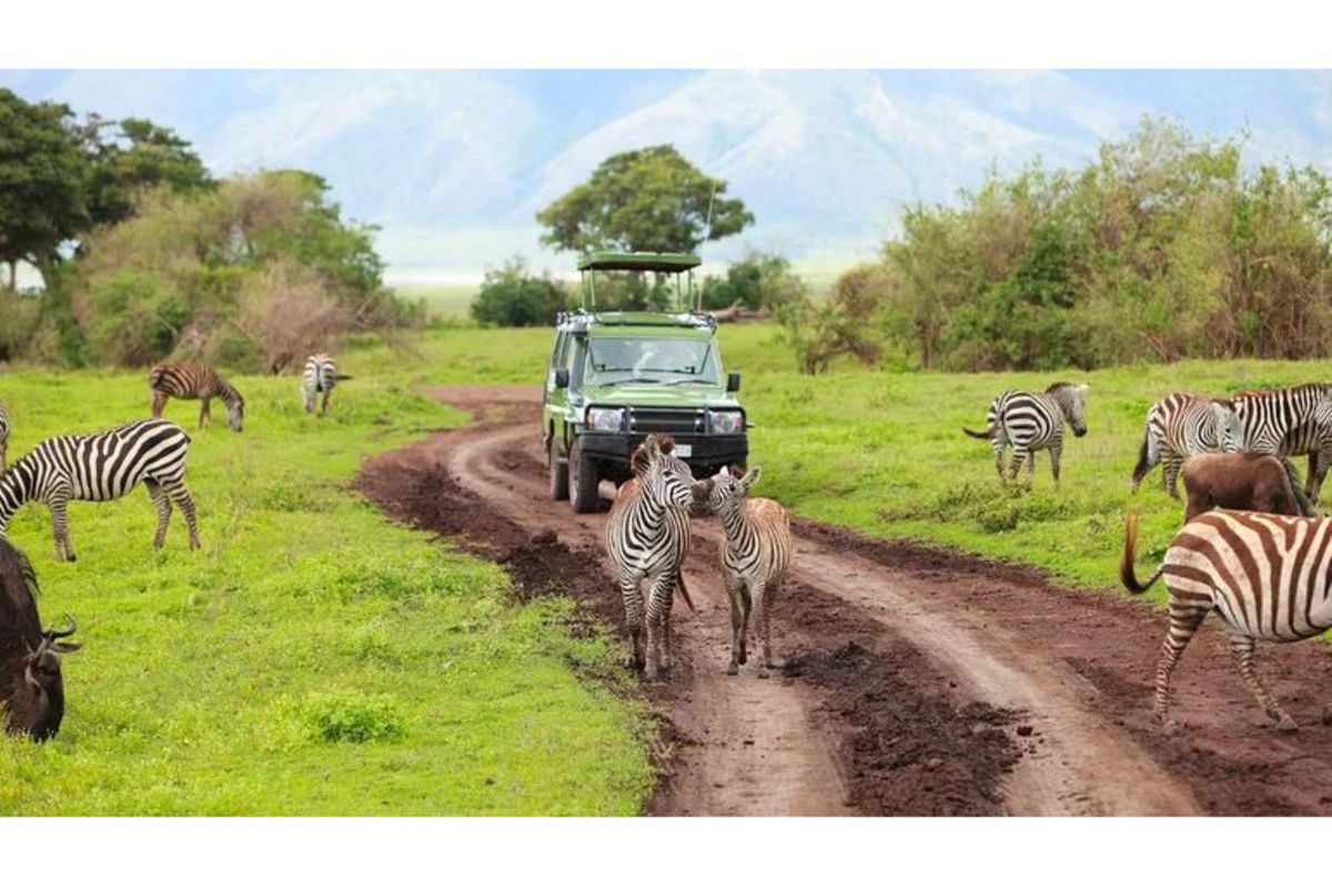 Tanzania’s tourist arrivals hit 5.9 million as country targets 8 million by 2030