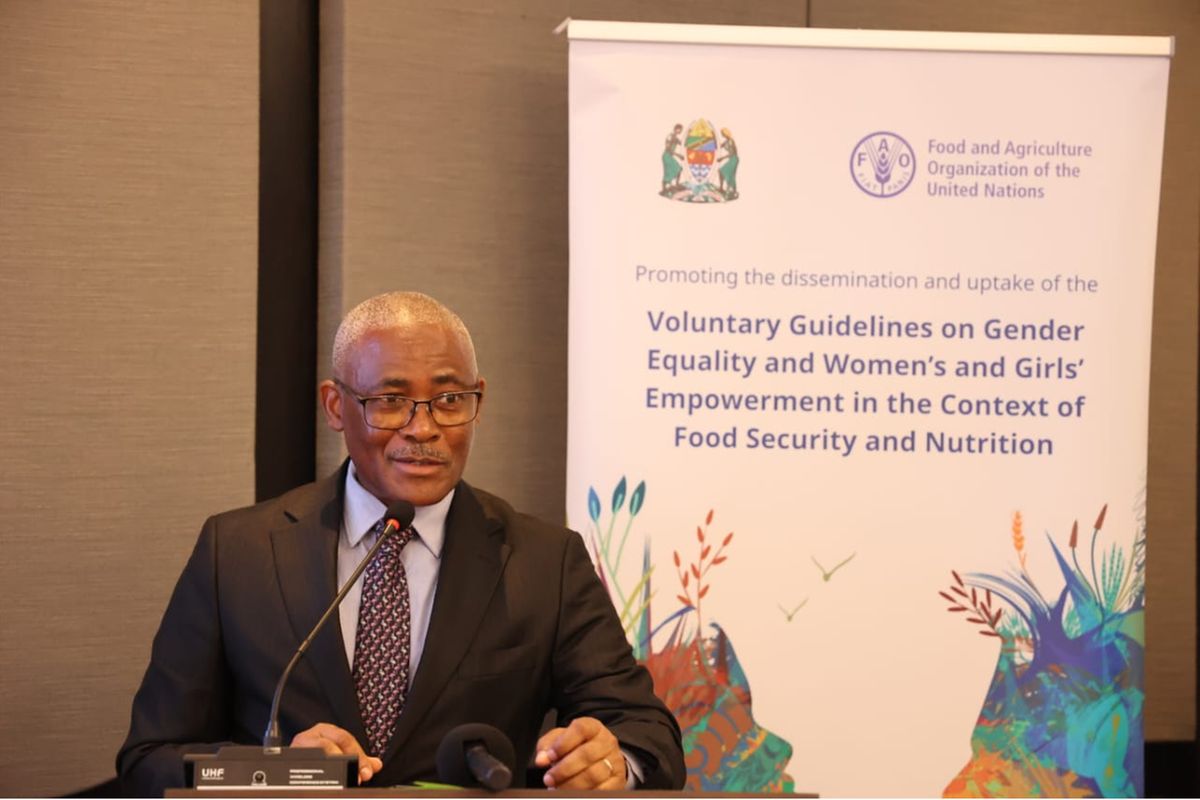 Tanzanian government seeks removal of barriers to improve productivity, women’s participation