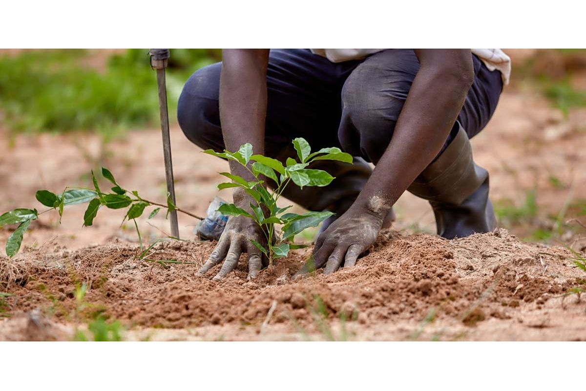 Why responsible growth matters at Tanzania’s moment of progress