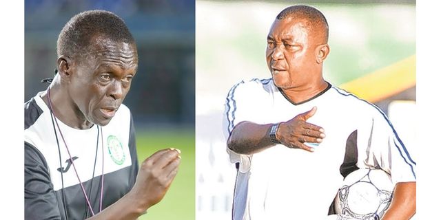 Survival battle takes centre stage as NBC league returns | The Citizen
