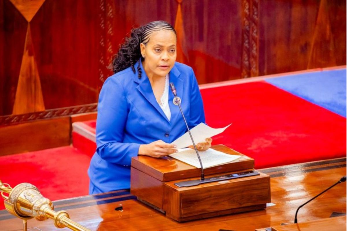 Government targets major expansion of telecom facilities in new budget