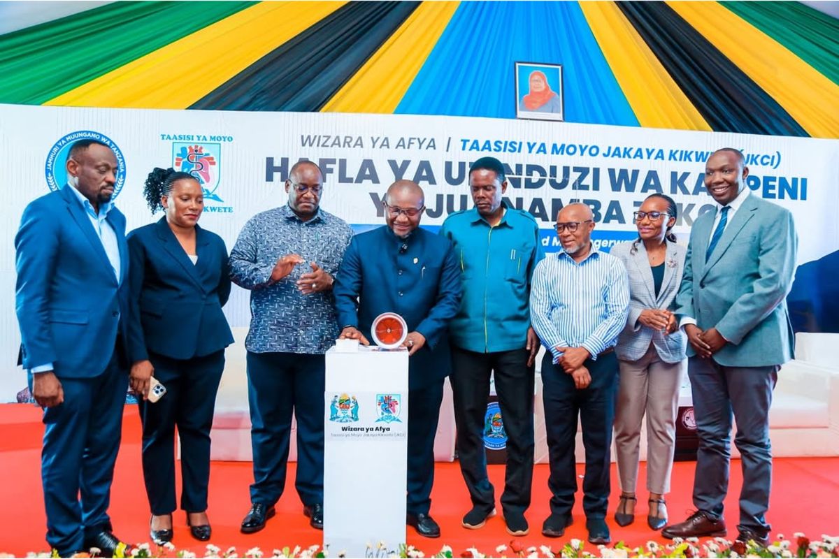 Over 500 hepatitis cases reported in Mwanza, prompting government action