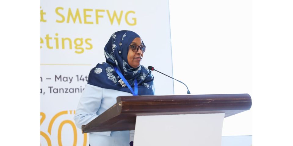 How inclusive financial policies can address SMEs’ challenges in Africa ...