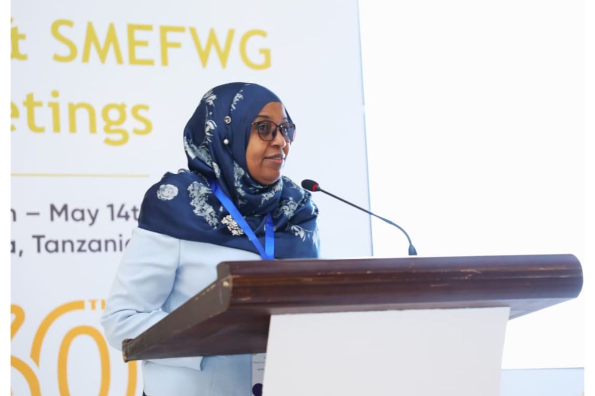 How inclusive financial policies can address SMEs’ challenges in Africa ...